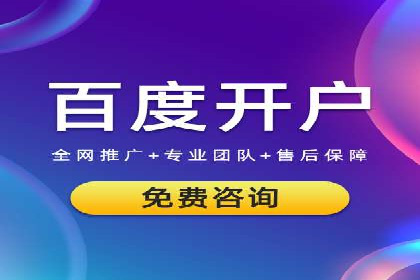 行业领先企业如何运用SEM进行精准营销
