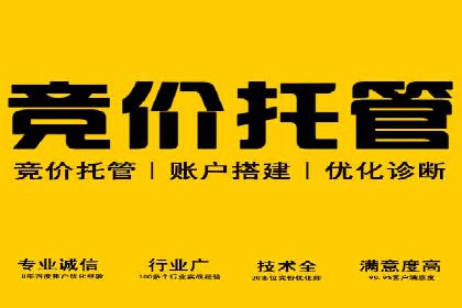 百度SEO推广公司经典之作：打造行业领先品牌